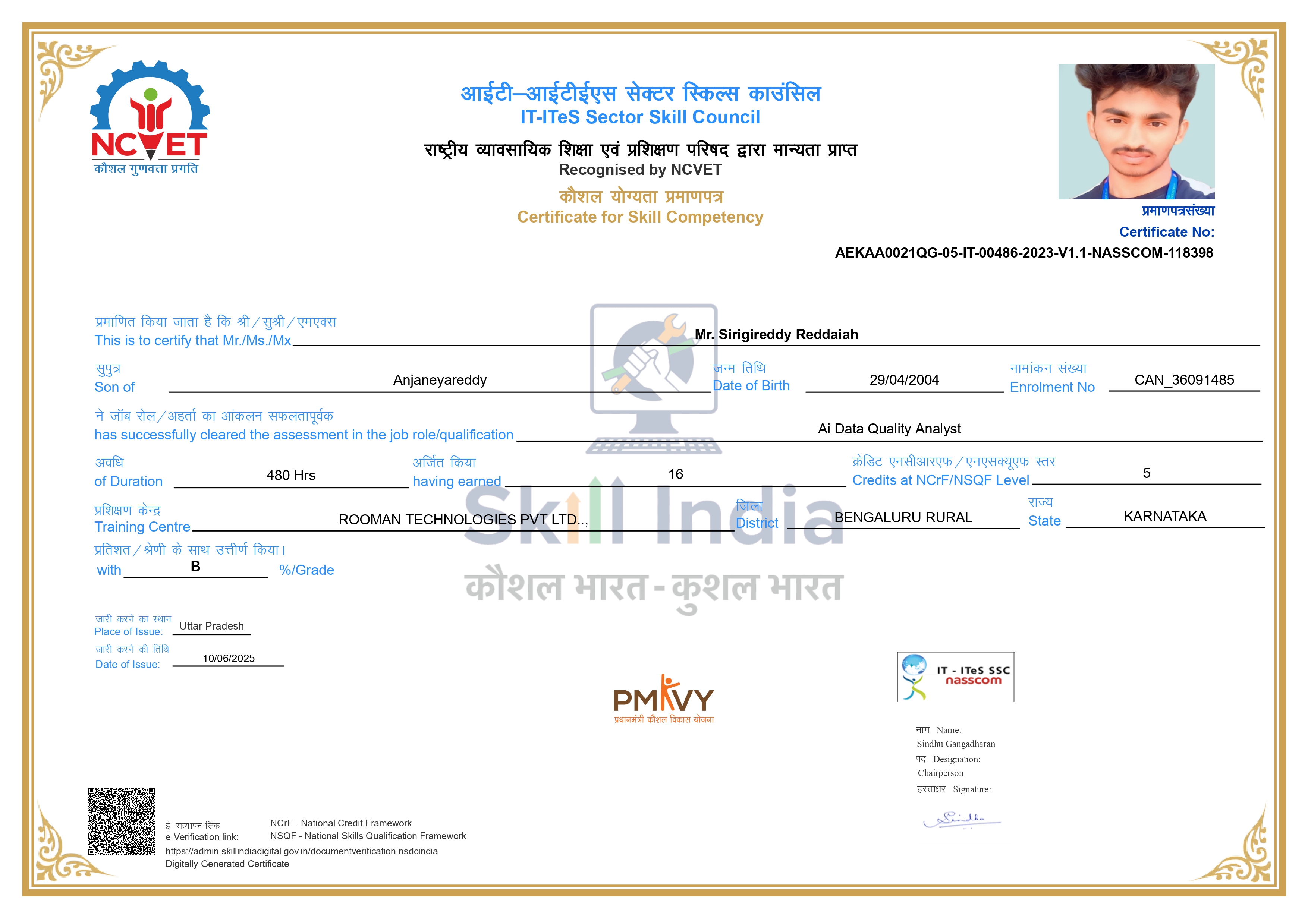 AI Data Quality Analyst